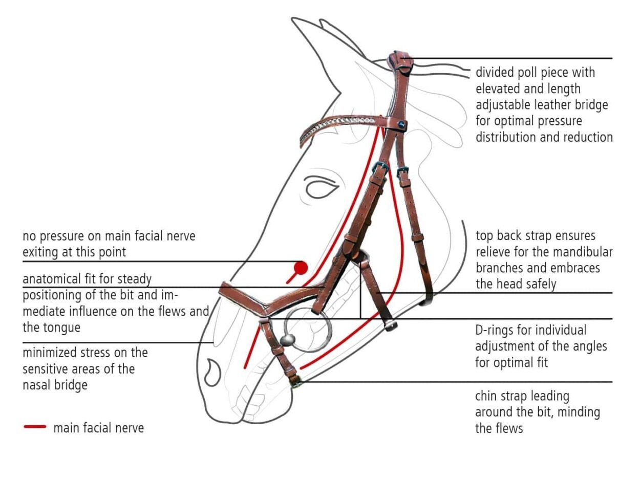 Skizze Trense Modena