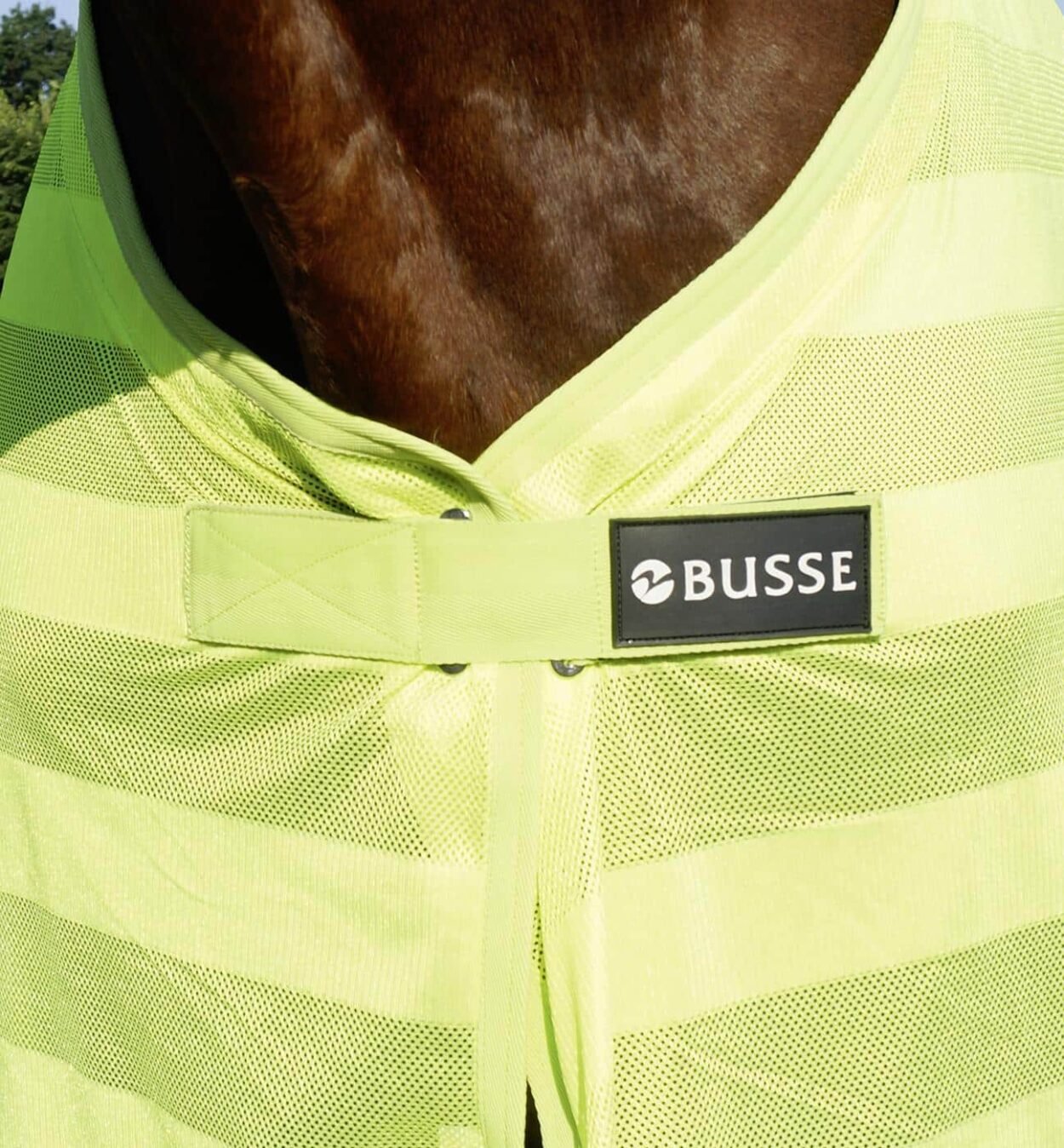 Decke reflection Brustverschluss