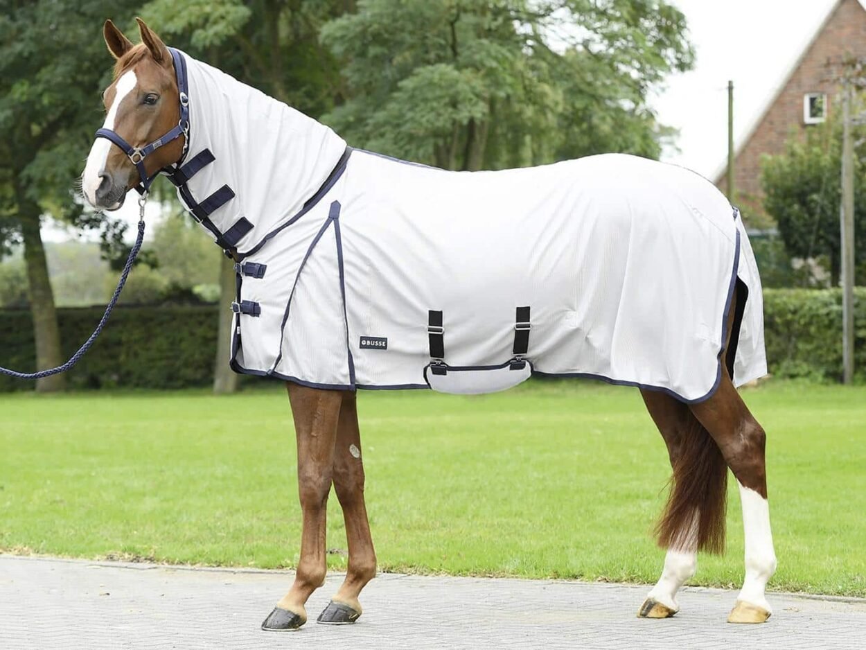 Paddock Fliegendecke Comfort