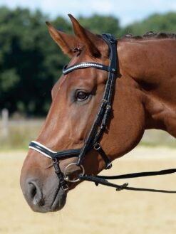 Busse Trense Emotion