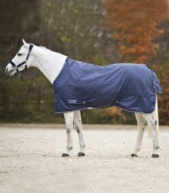 Pferd mit Decke