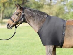 Pferd mit Brustschutzdecke