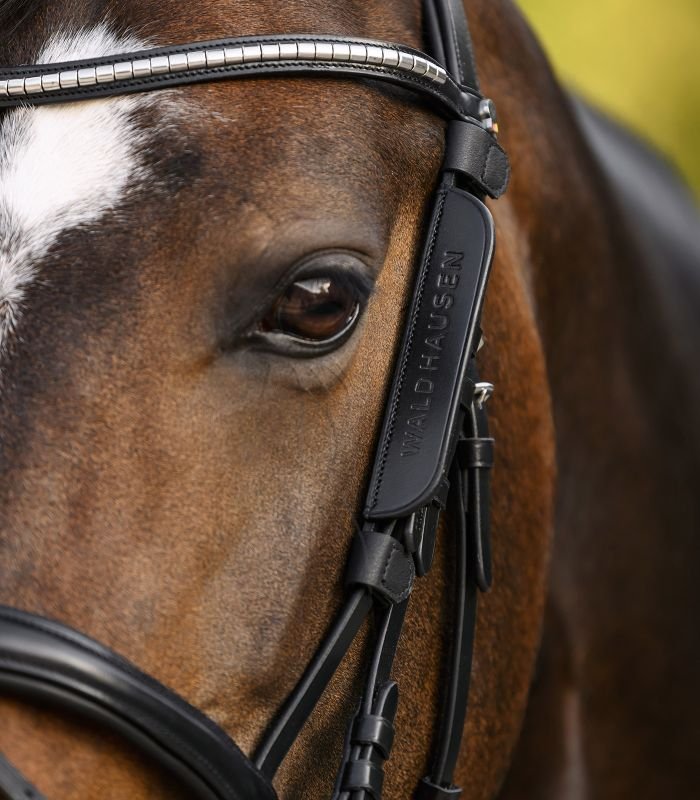 Waldhausen Scheuklappe klein Paar – Bild 3