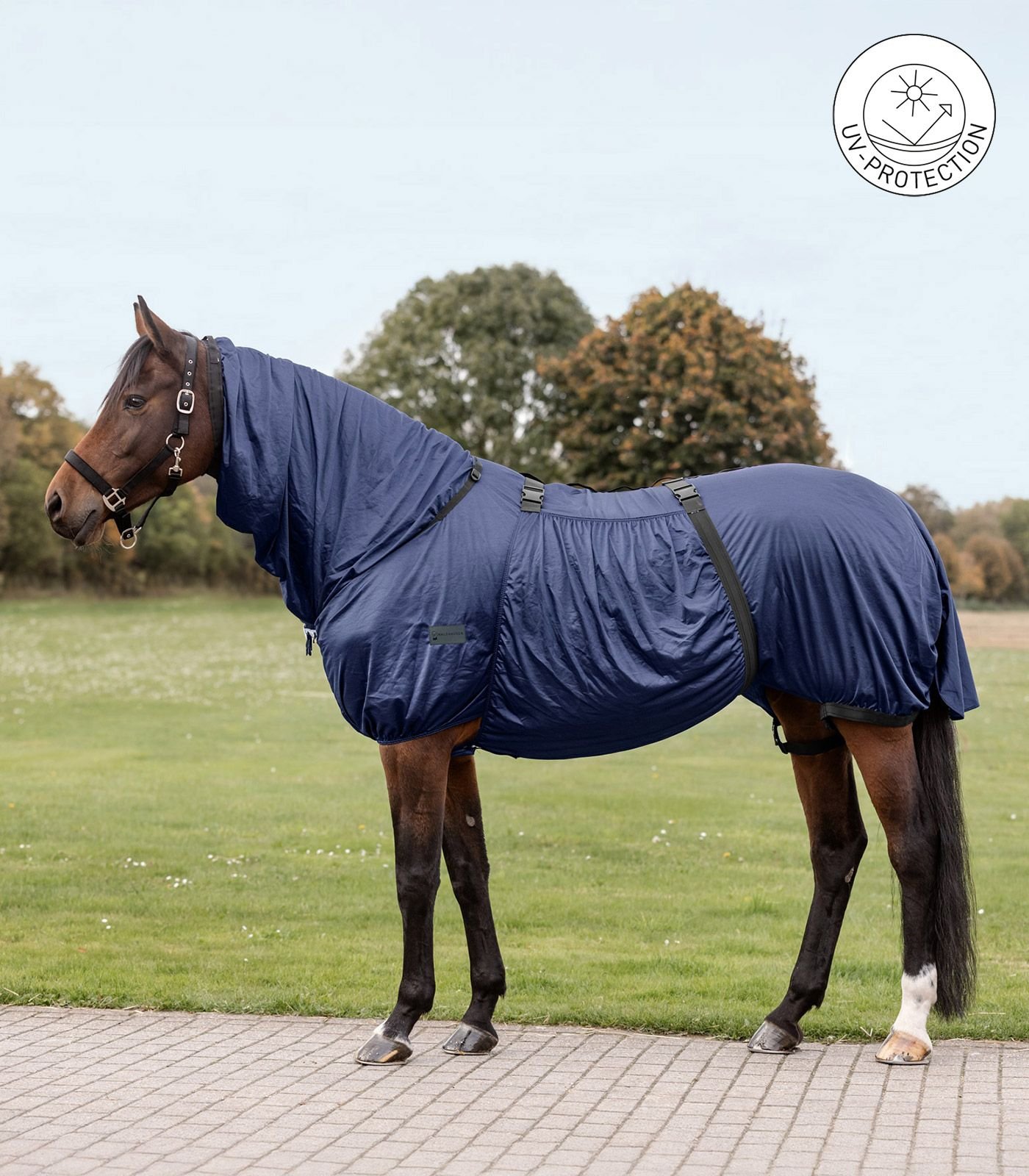 Waldhausen Ekzemerdecke Basic